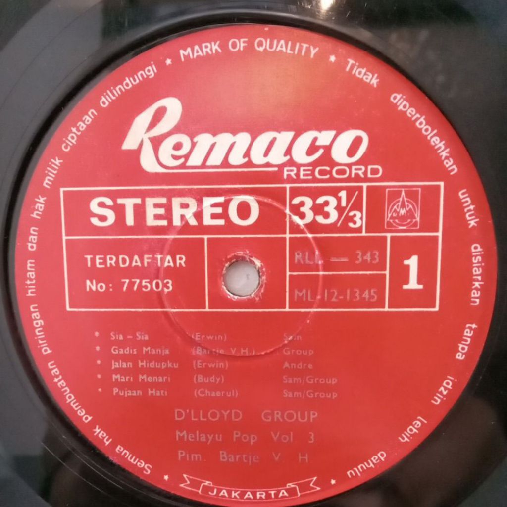 Vinyl Piringan Hitam 12 inch D'lloyd Group