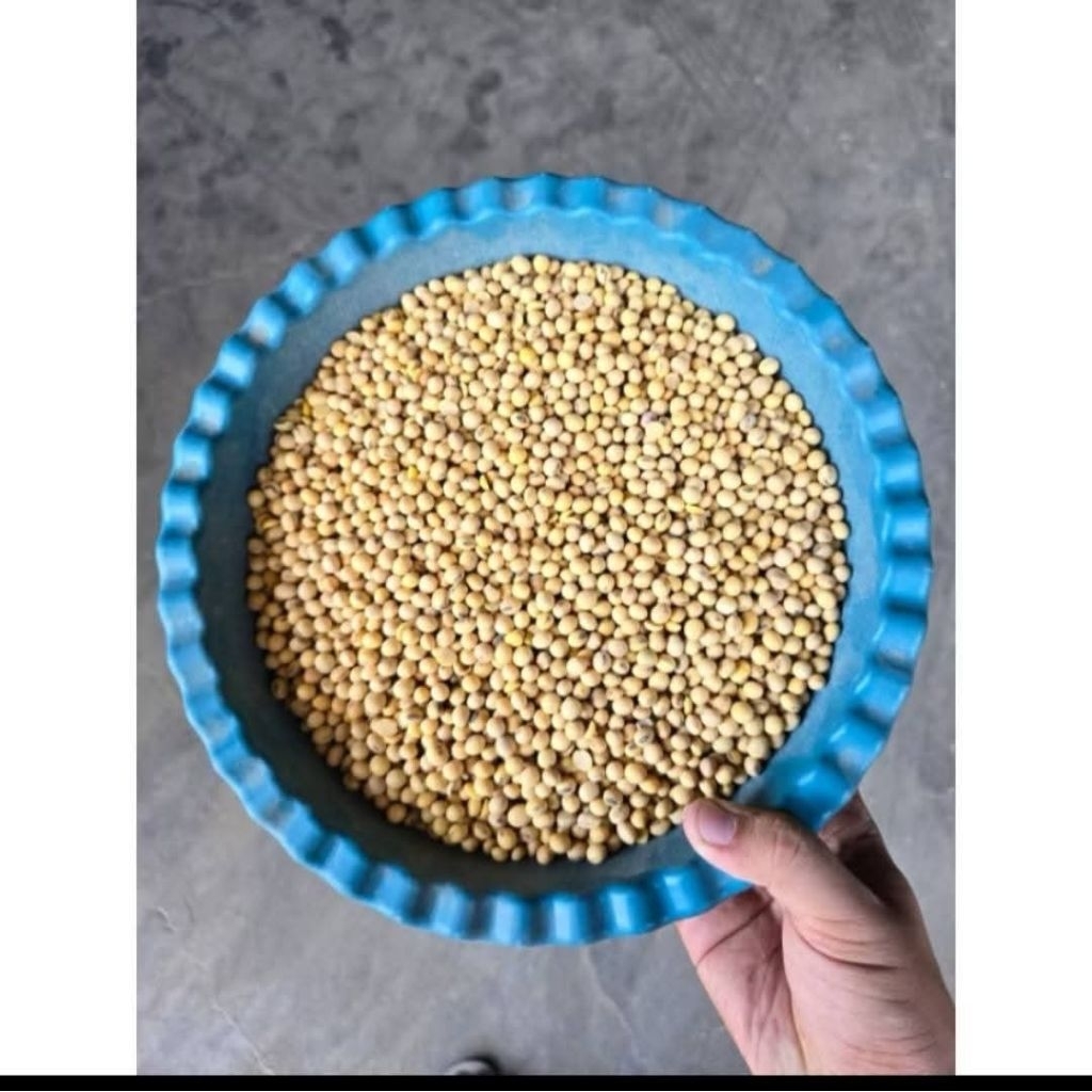 

Kacang kedelai / kedelai / bubuk kedelai