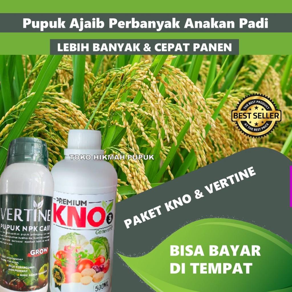 PAKET KOMPLIT PUPUK BOOSTER Buah Anakan Padi Terbaik isi 500 ML KNO3 PREMIUM dan VERTINE GROW - Pupu