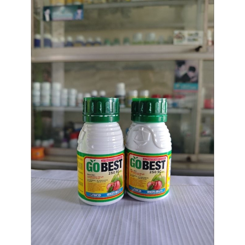 GOBEST 100 ML