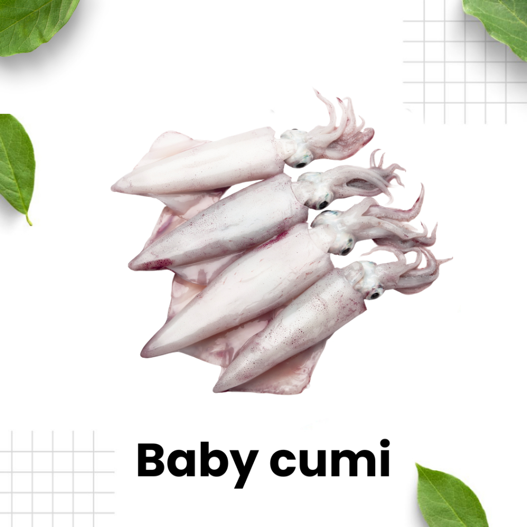 

BABY CUMI SEGAR / Cumi Baby Segar/Sea Food Sidoarjo/Cumi-Cumi SIDOARJO SURABAYA/Cumi Termurah