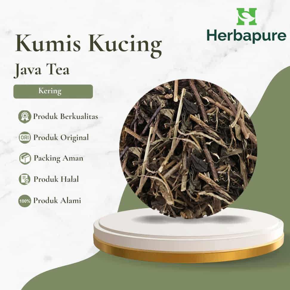 

Herbapue- Daun Kumis Kucing Kering– Herbal Ginjal, ISK, Asam Urat | 100% Alami