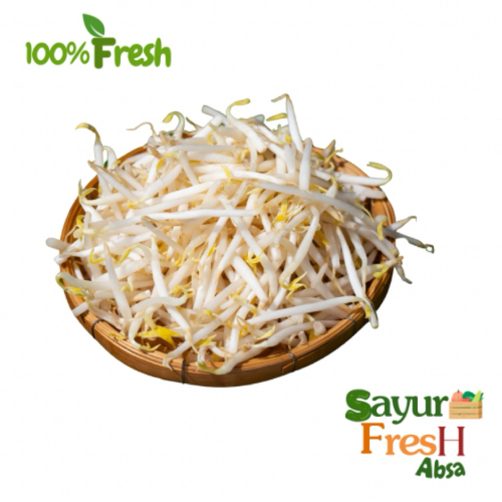 

Toge 500 gr fresh setiap hari