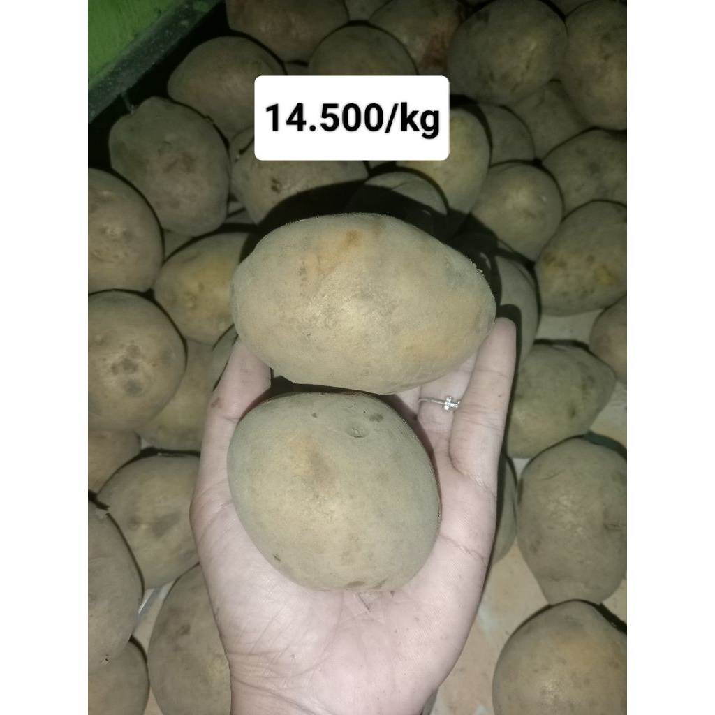

Kentang Tnggung Besar per KG