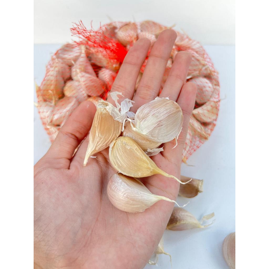 

BAWANG PUTIH KATING SUDAH BERSIH - GRADE A