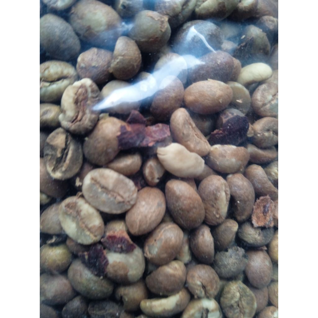 

kopiasalan Lampungtanggamus