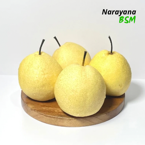 

Buah Pir Madu Sweet Pear Segar Paket 3 Pcs