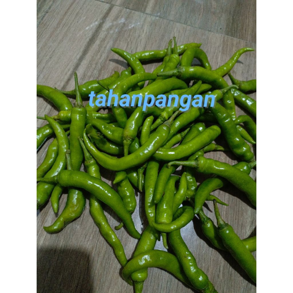 

CABE HIJAU BESAR 500g