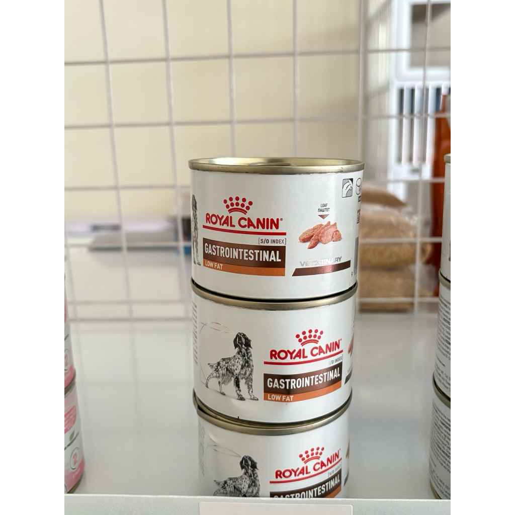 Royal Canin Gastrointestinal Dog Low Fat