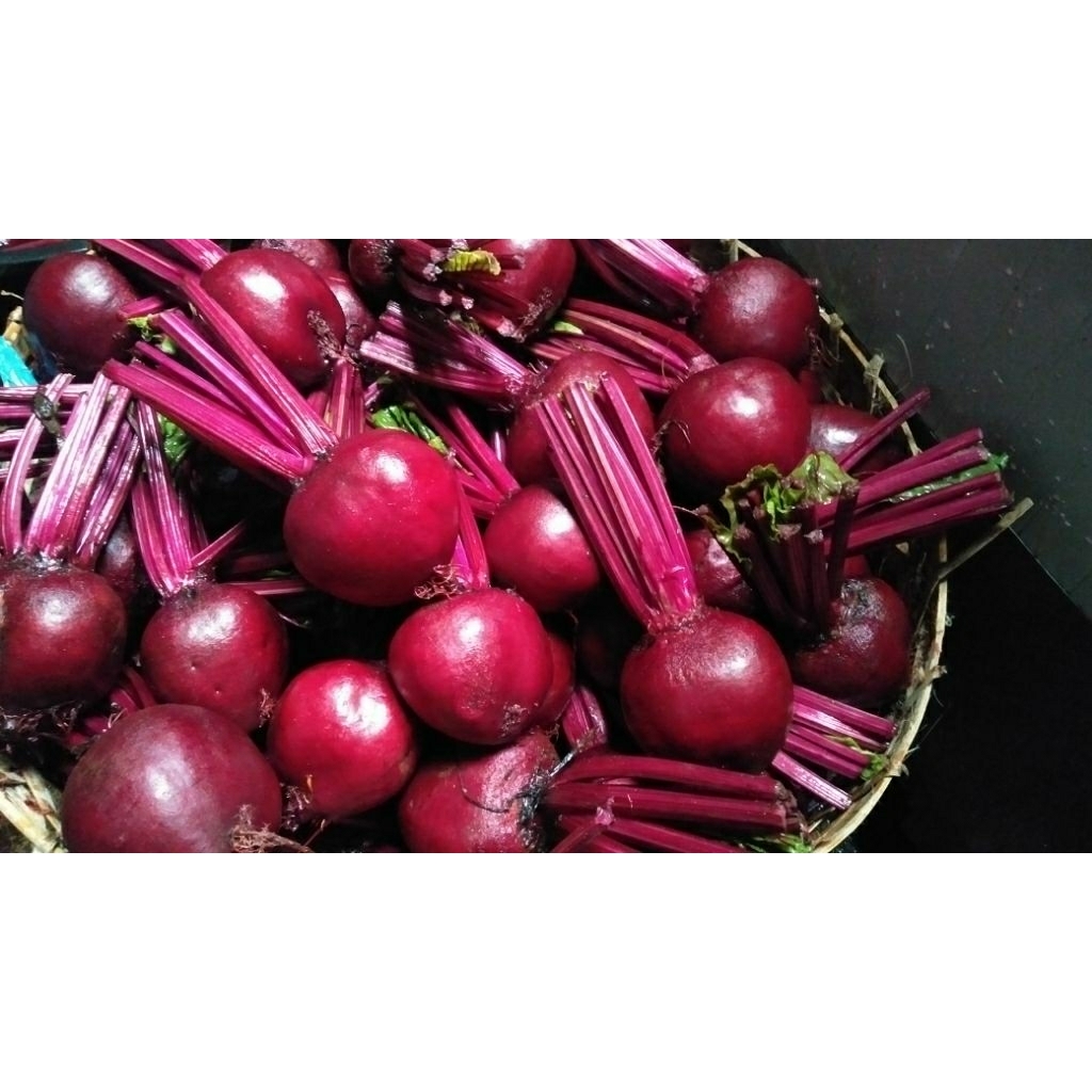 

buah bit / beetroot 5kg fresh kualitas market