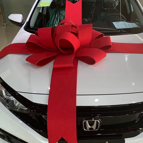 

Pita Kado Besar Jumbo Hiasan Hadiah Mobil Baru Bentuk Bunga Merah Bahan Bludru Kain Satin Suede Velvet Mewah Premium Murah Ada Tali Panjang Tanpa Lem Aman untuk cat mobil