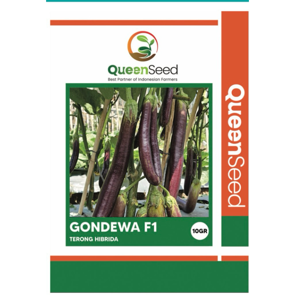 

Terong GONDEWA F1