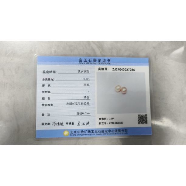 RB [READY] Kalung Mutiara Kerang Tiram Asli Oyster Necklace Oyster Hadiah Anniversary Birthday Gift