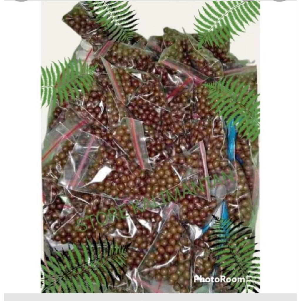 pil pinang anum khas kalimantan perwatan kewanitaan