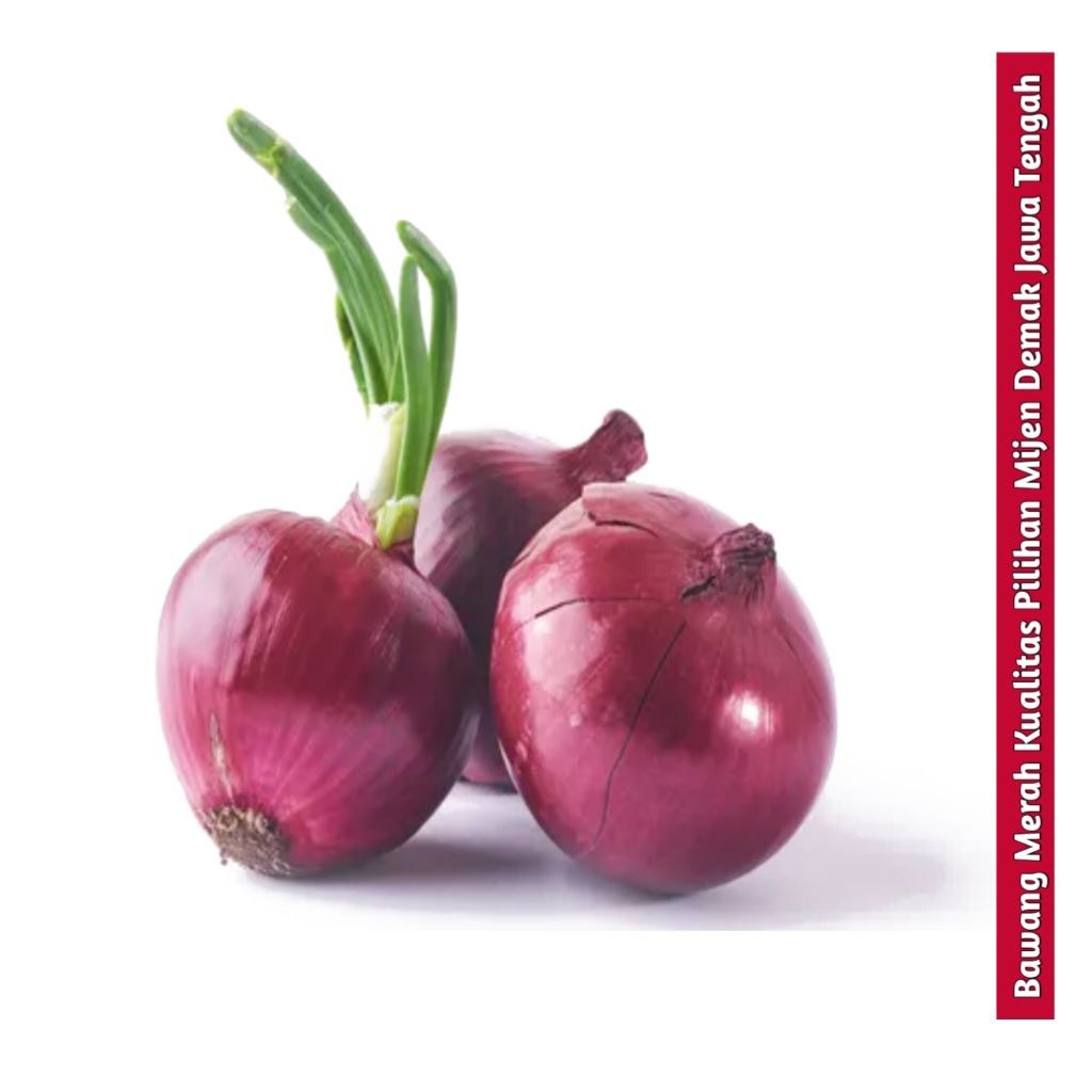 

Bawang Merah Pilihan Super 500gr