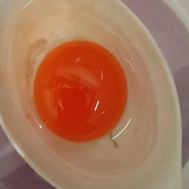 

TELUR ASIN KUNING NYA YG FRESH