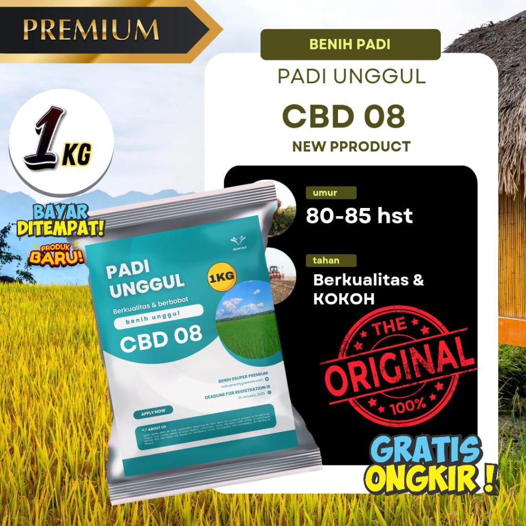 benih padi CBD 08 benih padi berkualitas super benih padi unggul dalam kemasan 1kg