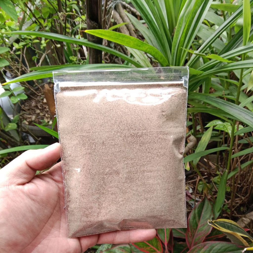 

LADA BUBUK PUTIH 100 GR