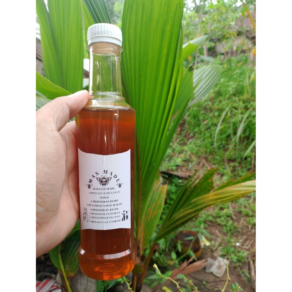 

madu Odeng asli hutan Liar tanah banten 100%asli tanpa campuran Odeng manis dan pahit100%asli madu Odeng pahit dan nyiruan dan madu lebah akasia