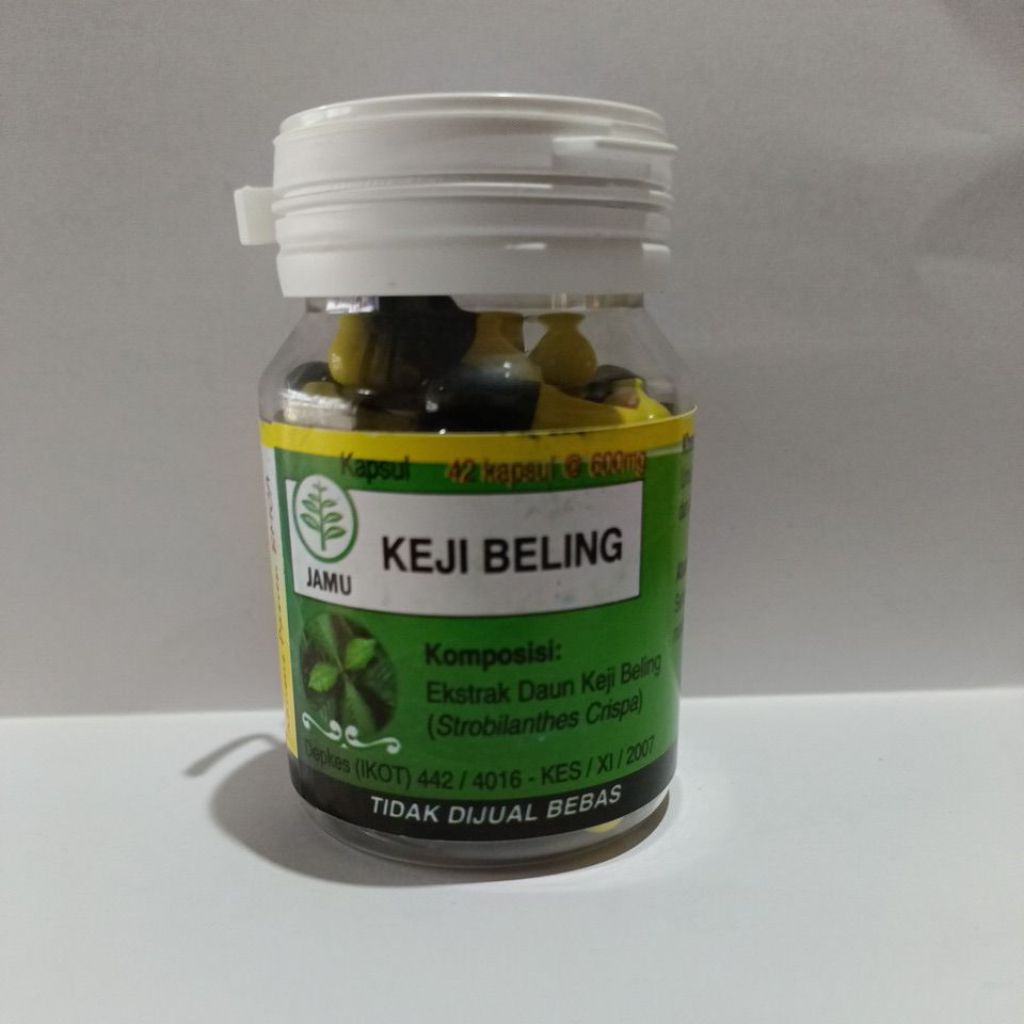 kapsul Keji Beling isi 42 Kapsul