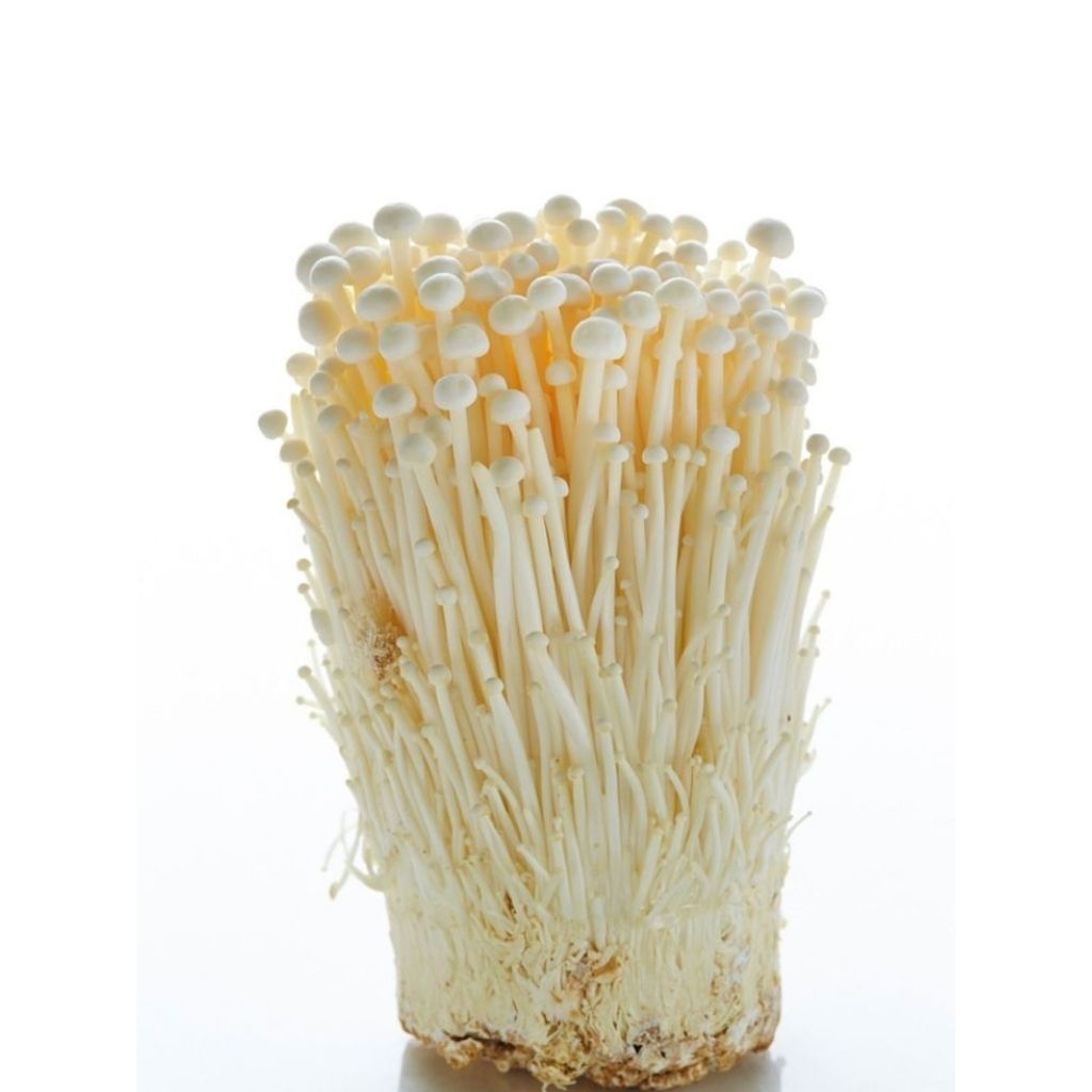 

Jamur Enoki 100gr