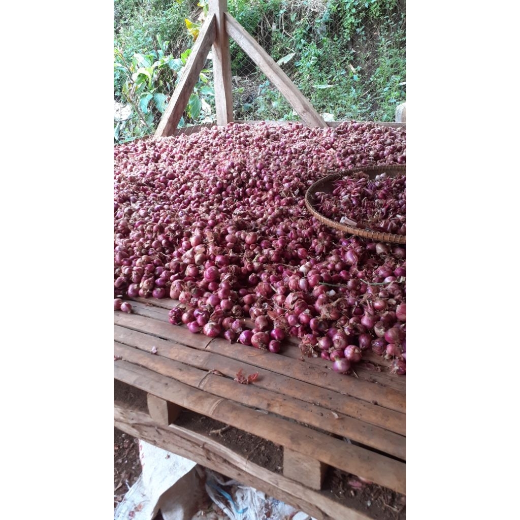 

bawang merah/rempah rempah kemasan 1kg