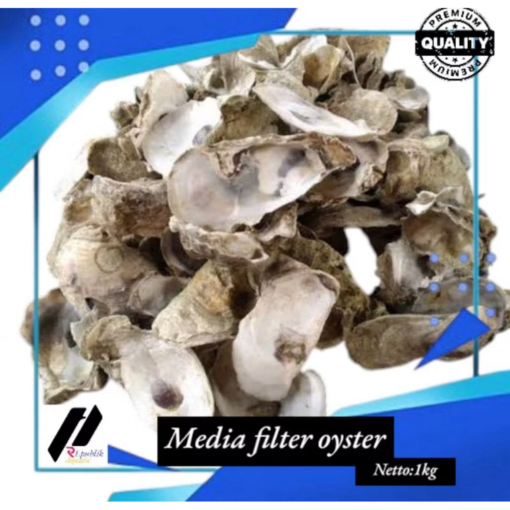 Oyster 1 kg/oyster / kerang oyster / cangkang oyster / media filter / media filter koi / media filte