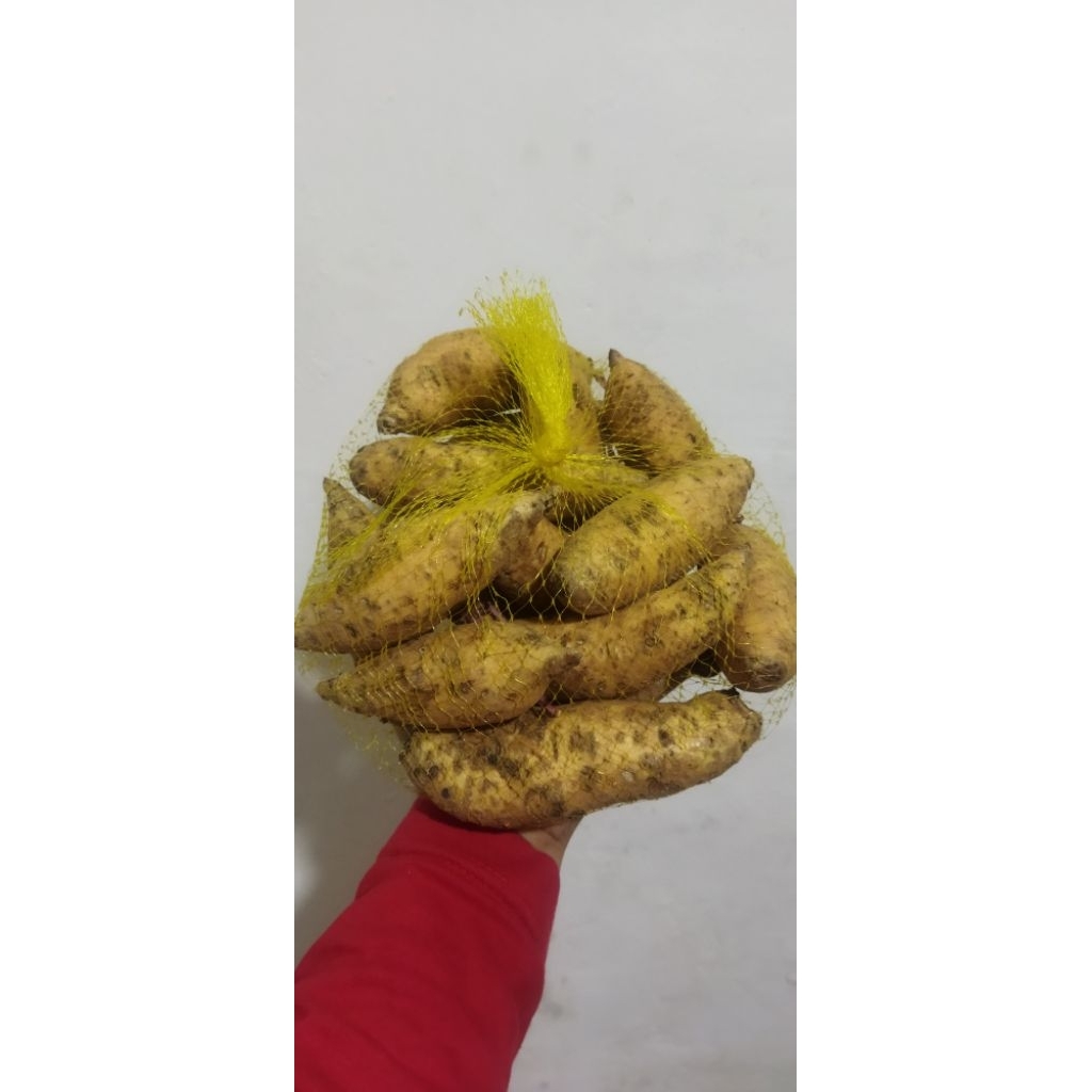 

Ubi Cilembu Asli Sumedang