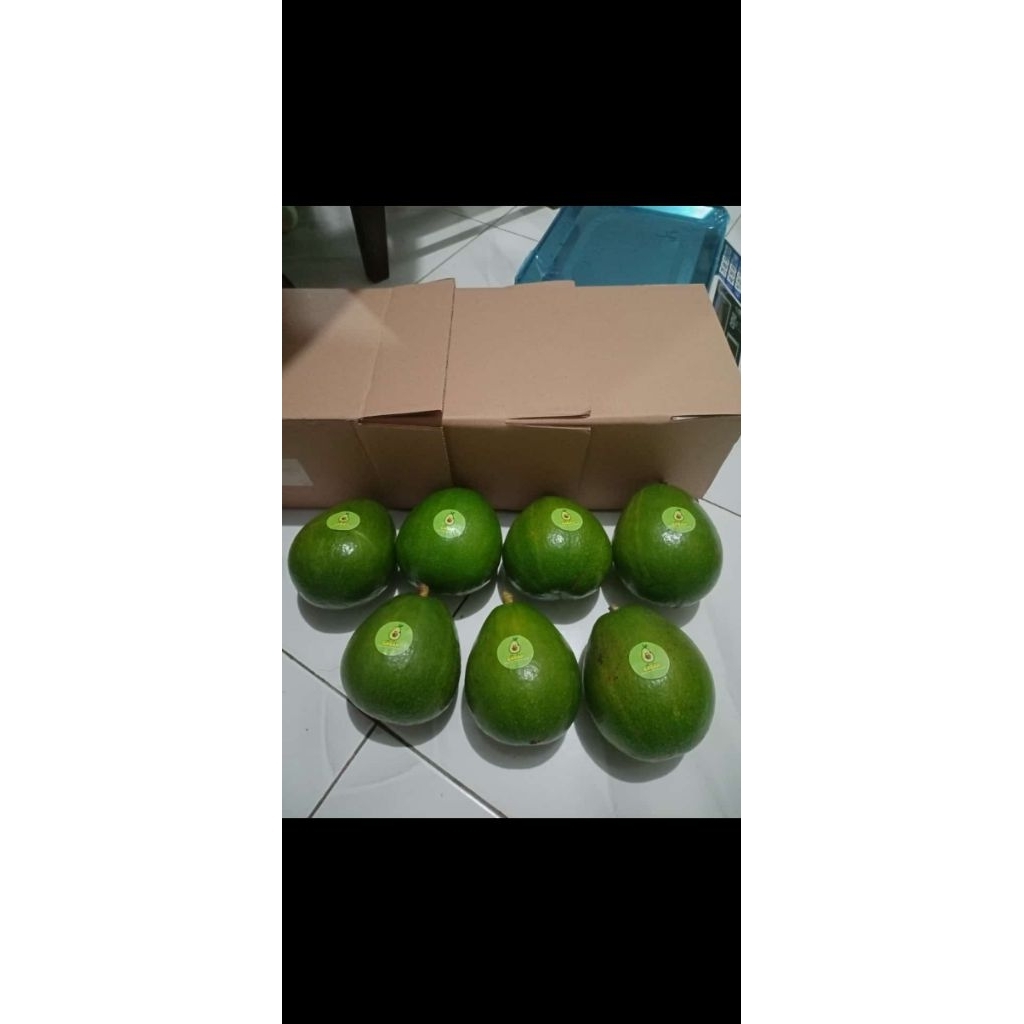 

Alpukat Miki Grade B 1kg buah mpasi, diet, kolestrol, legit, tebel daging
