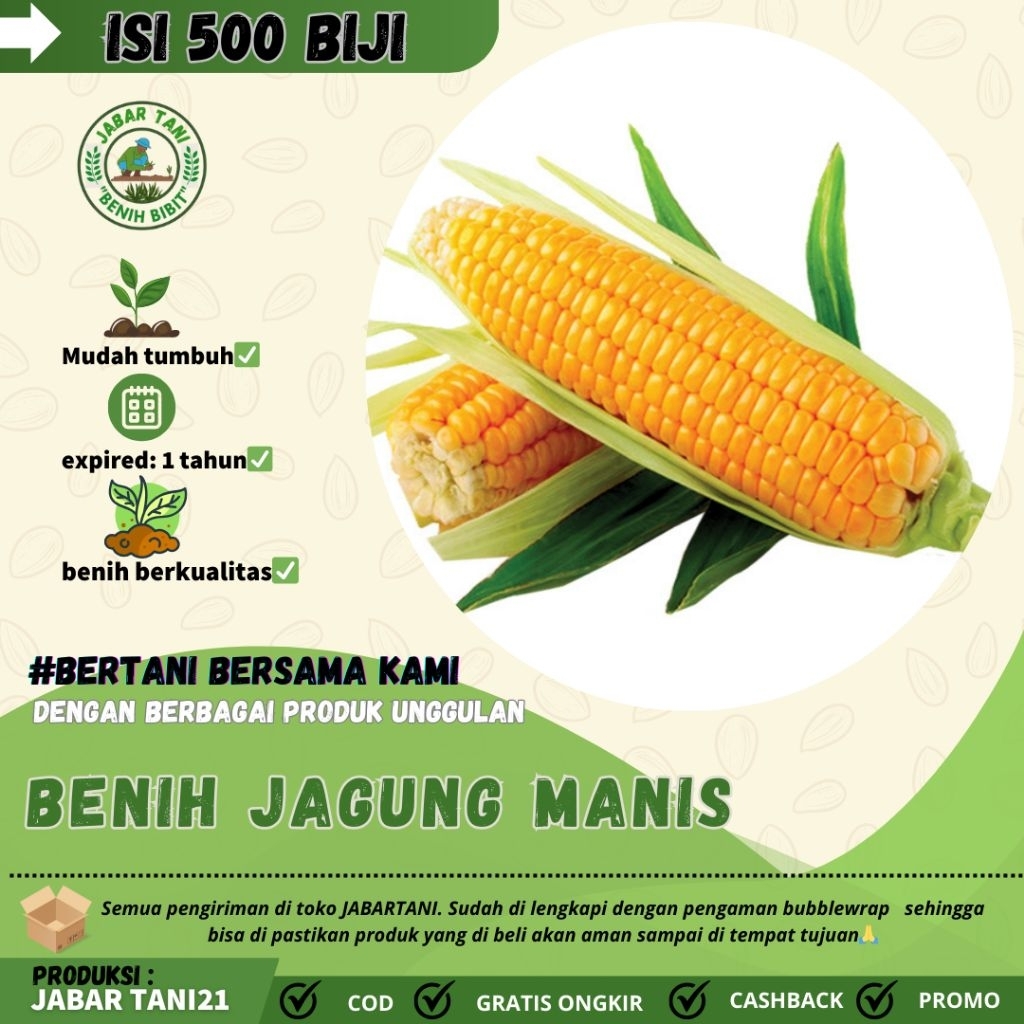 

500 biji > BENIH JAGUNG MANIS|BIJI JAGUNG MUDAH BERKECAMBAH