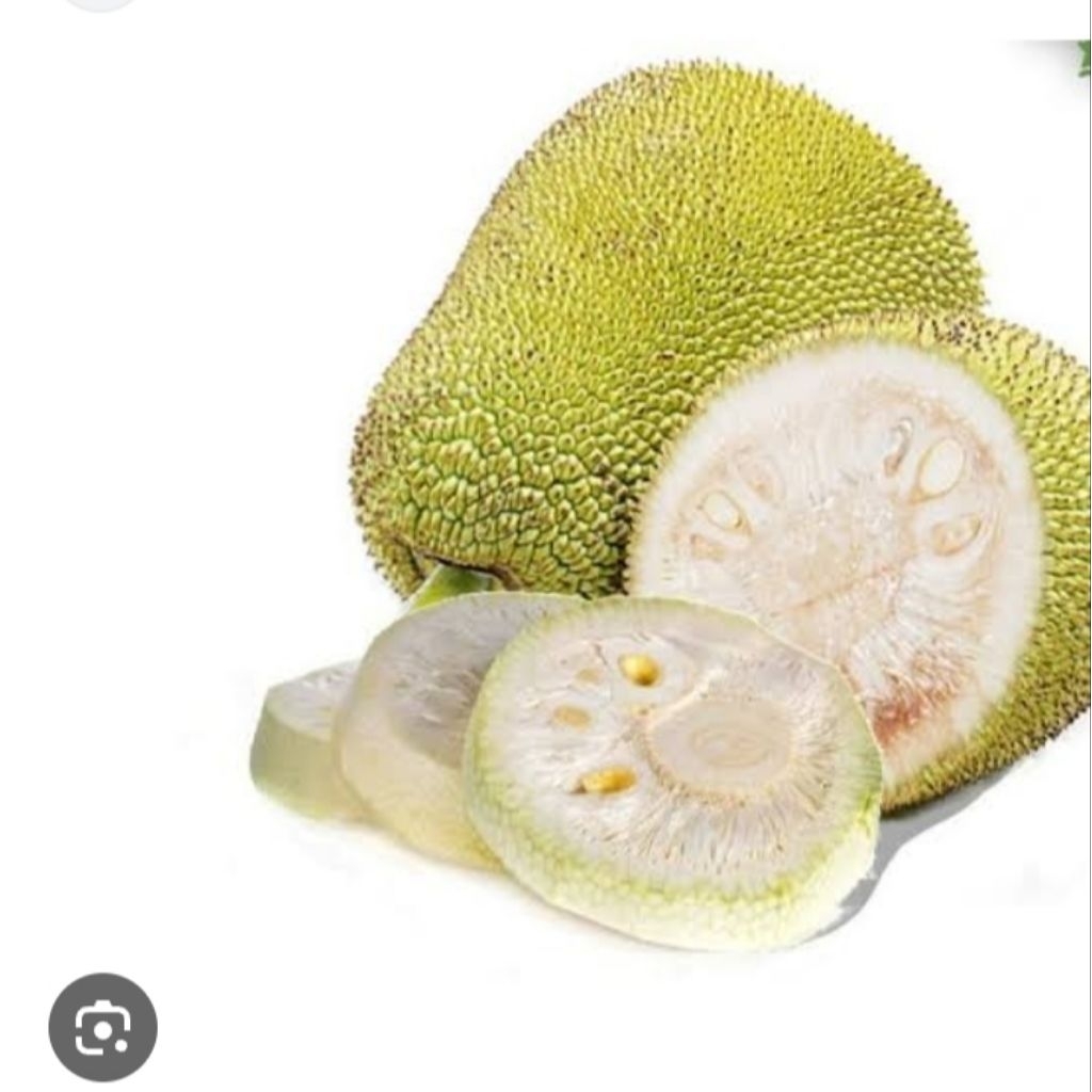 

1kg nangka muda untuk sayur