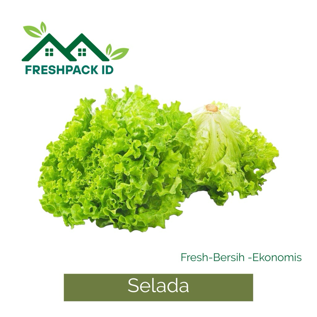 

Freshpack-Selada Segar