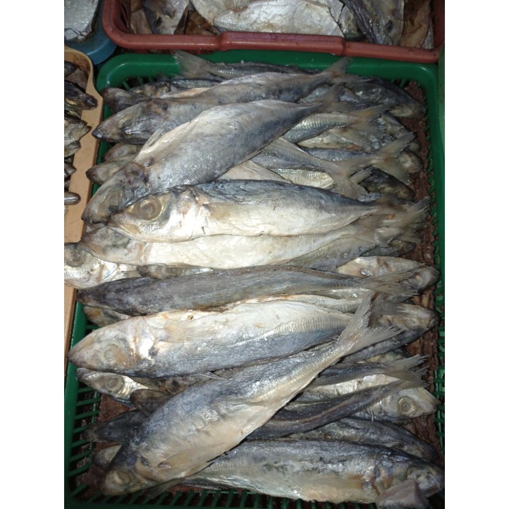 

ikan asin layang segar murah meriah
