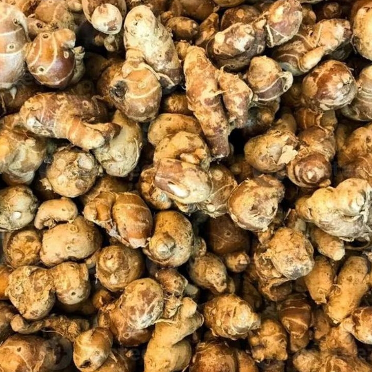 

INSTAN KOTA JAMBI Kencur