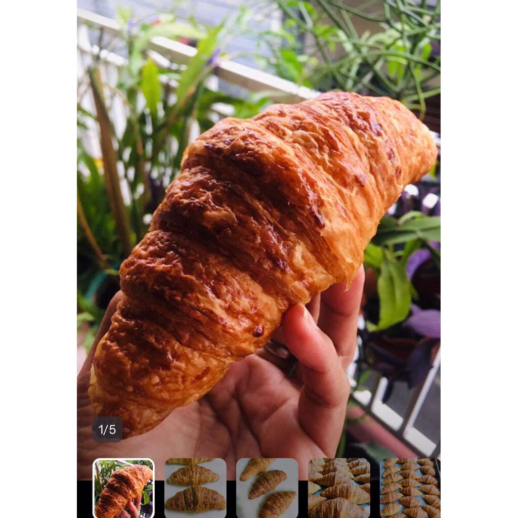 

Croissant Plain