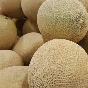 

BUAH MELON 1 buah (_+ 1,5kg)