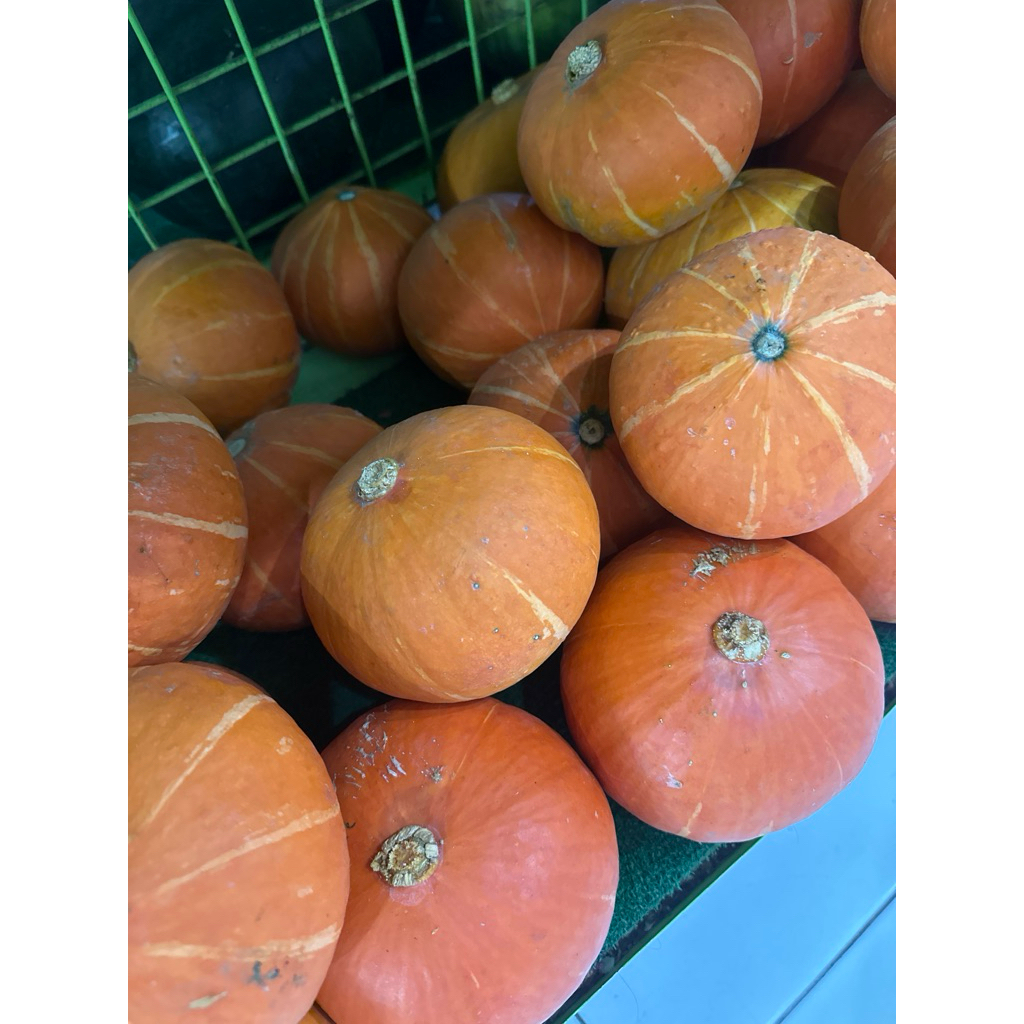 

kabocha kaboca labu kuning kaboca