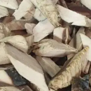 

PAKET IKAN TONGKOL CUE POTONG SEDANG 4 PCS