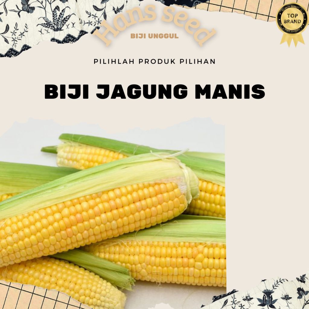 

biji benih JAGUNG MANIS ASLI | MURAH