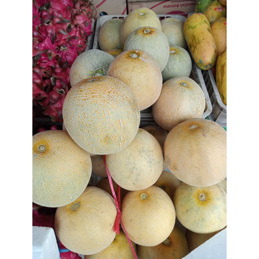 

melon madu 1 buah