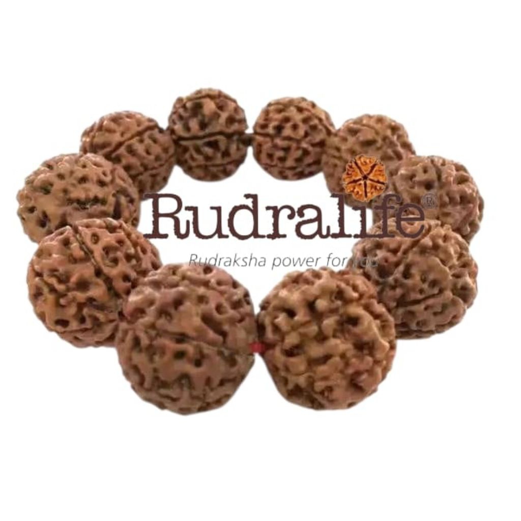 gelang jenitri besar mukhi 5