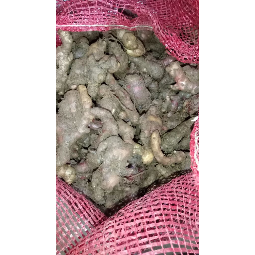 

JAHEMERAHsegarkualitasterbaik