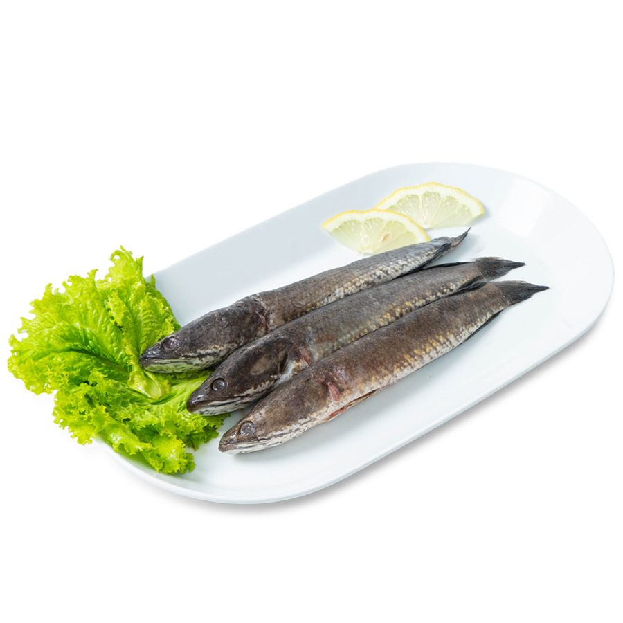 

Ikan Gabus Fresh Segar bisa langsung di bersihkan oleh Bibik Sayur - Ikan Segar Palembang