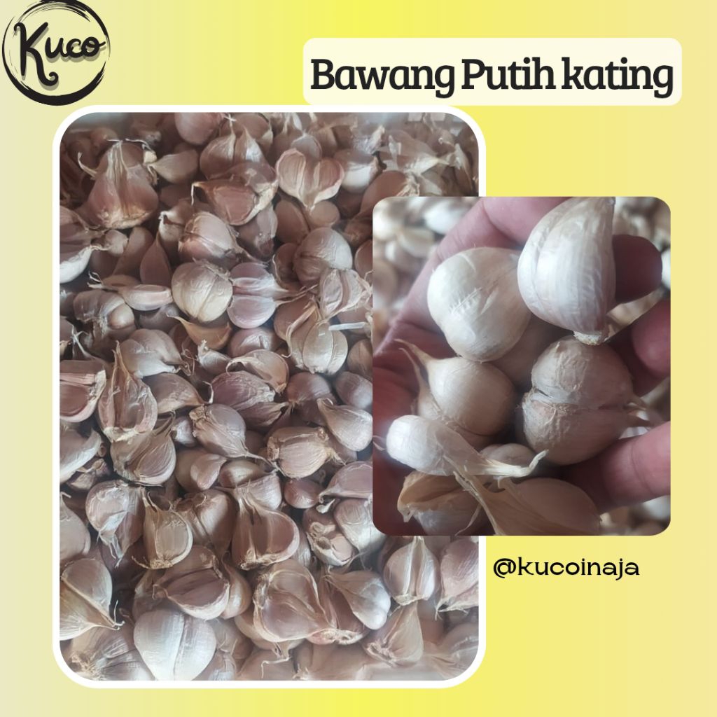 

Bawang Putih kating (500gram)
