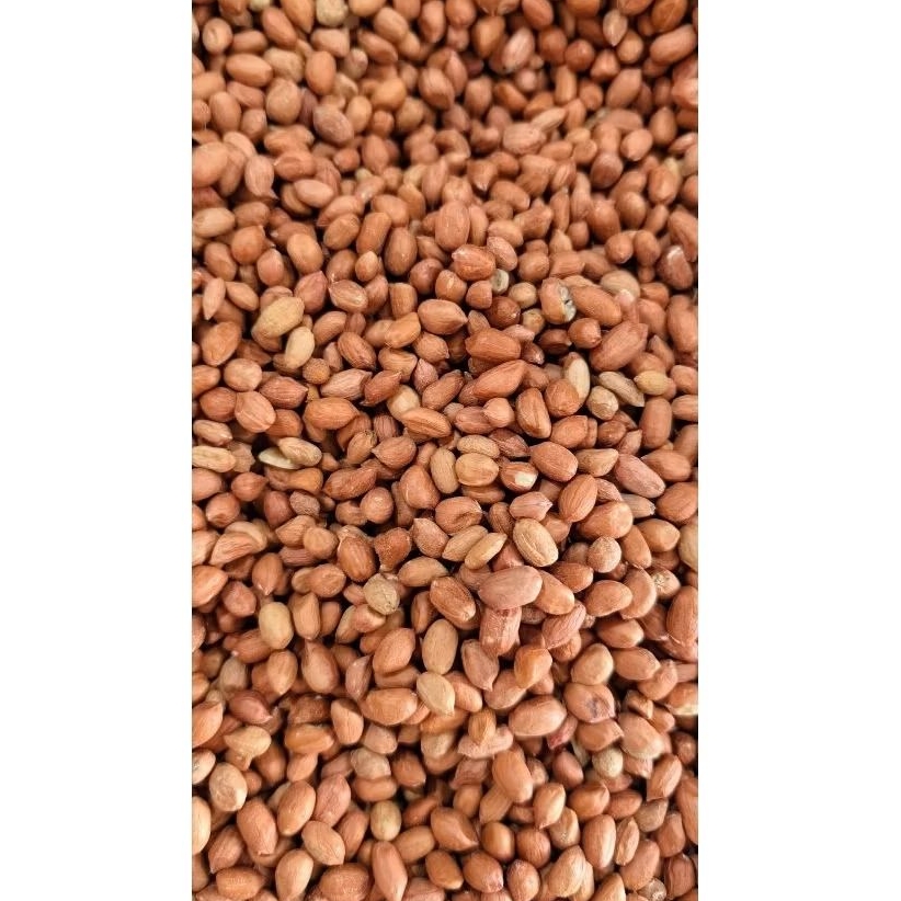 

kacang tanah mentah super import / kacang tanah kulit ari mentah 100gr