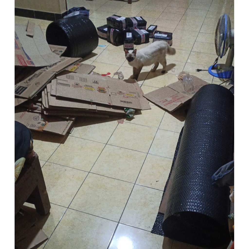 

KARDUS & BUBBLE WRAP PACKING SUPER LAPIS 3