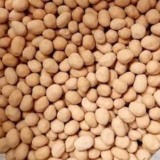 

Kacang Atom Oven / Kacang Telur / Kacang Telor 500 Gram