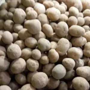 

KENTANG RENDANG / SIOMAY 1 KG