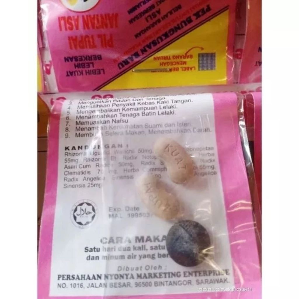 tupai jantan iriginal