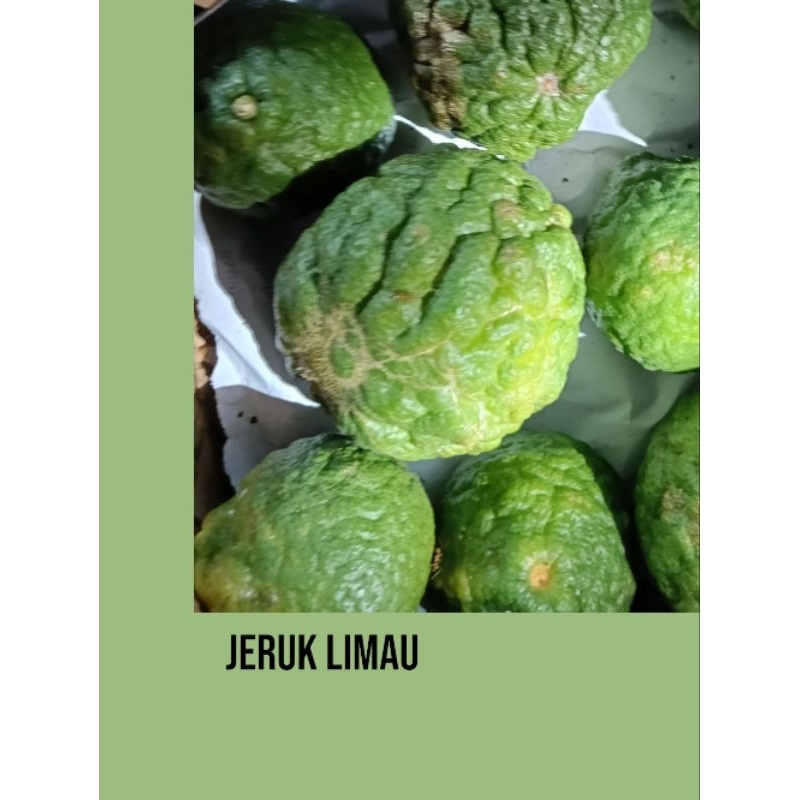 

Jeruk limau